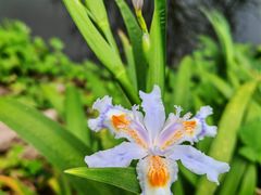 -重庆彩云湖湿地公园