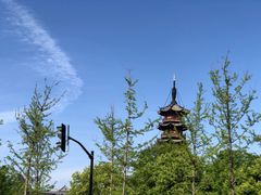 -龙华寺
