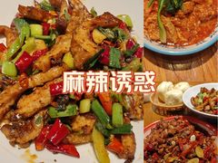 -柴窝堡22号辣子鸡·传承新疆菜