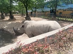 -西安秦岭野生动物园