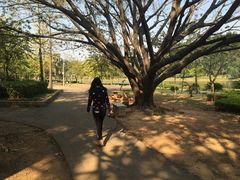 -南国桃园旅游度假区