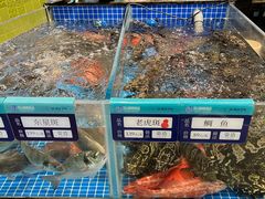 -东海怡品海鲜豆捞(星街坊店)