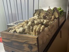 -introlemons(北京西单更新场店)