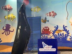 -太平洋海底世界博览馆·展览厅