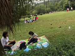 -南国桃园旅游度假区