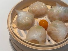 -点都德·毕德寮