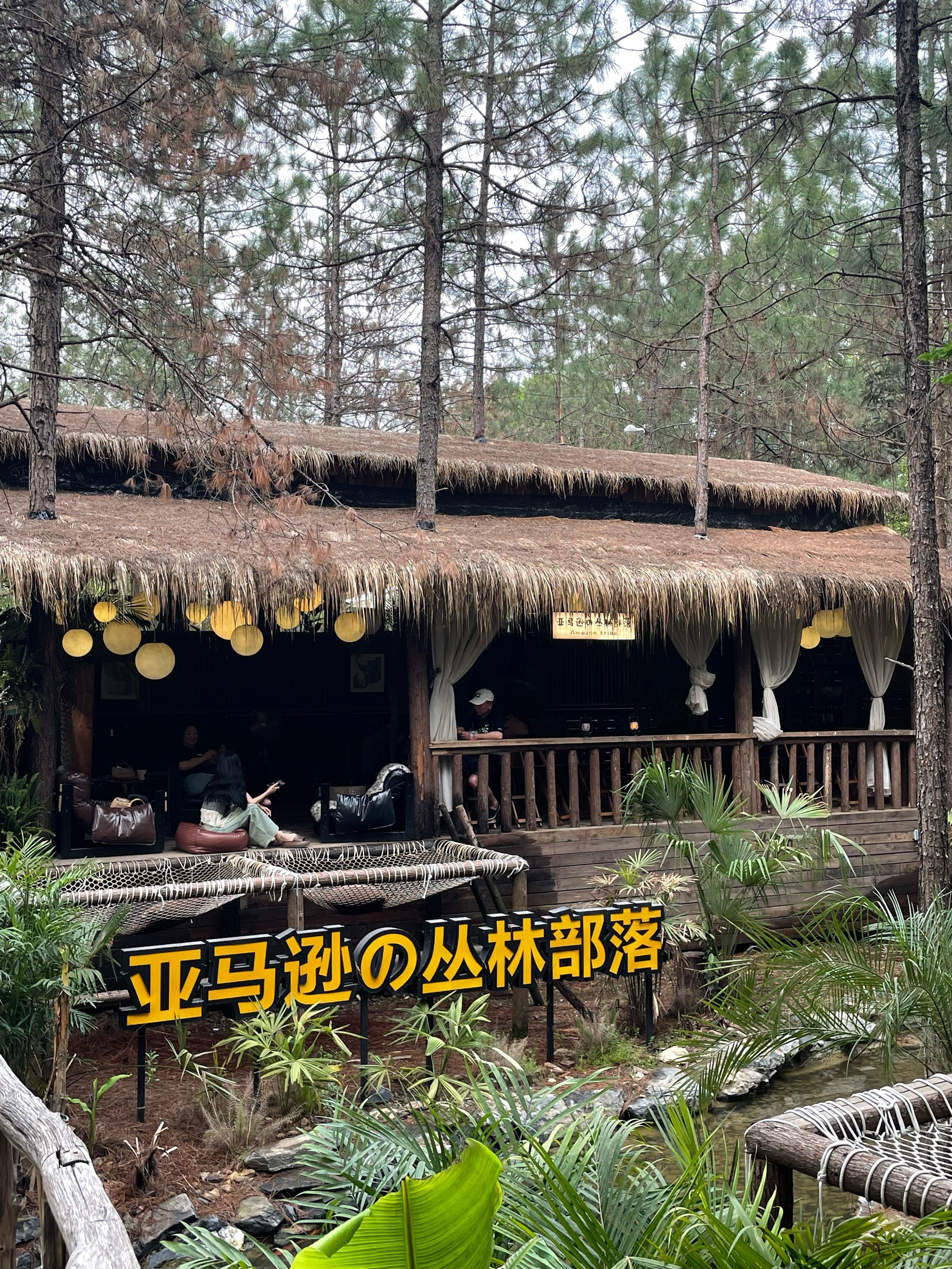 误入安吉亚马逊丛林部落🌴 拍出氛围感拉满照片