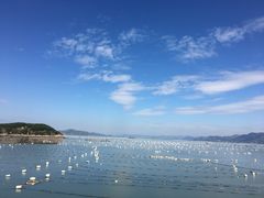 -杭州城中香格里拉大酒店