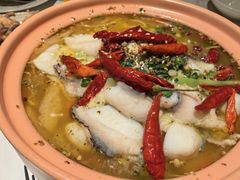 -Aqua Oasis 水天堂(相城天虹商场店)