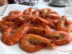 白灼虾-渔民船说·北塘海鲜·天津菜·海肠捞饭(北塘古镇店)