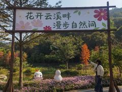 -云溪植物园