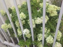 -杭州西湖风景名胜区-满觉陇四眼井