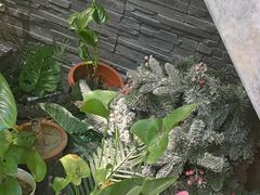 -泰古龙抓龙筋·spa按摩(静安店)