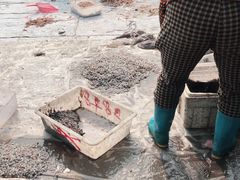 -青岛沙子口国家中心渔港