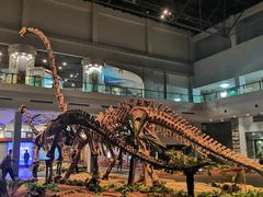 -自贡恐龙博物馆