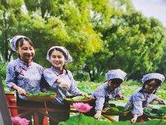 -洪湖生态旅游区