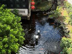 -北园酒家(小北路店)