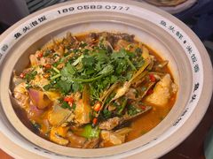 太平湖有机胖头鱼-魏铭鱼头捞饭(晋阳路店)