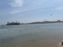 -海驴岛(荣成市)