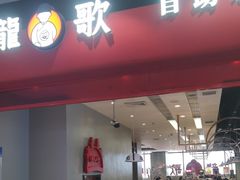 -龍歌自助小火锅(市南金茂湾店)