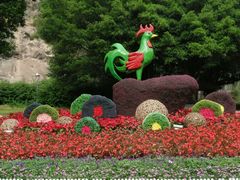 -金鸡山公园
