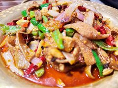 -天山醉美辣子鸡(文艺路店)
