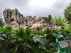 -成都动物园