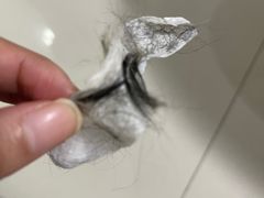 -芭比堂动物医院·CT·微创中心(新顺分院)