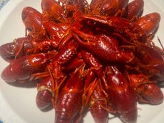 -虾皇(龙虾城旗舰店)