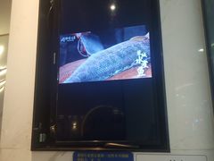 -周渝食惦·酸菜鱼精致川菜(横岗店)