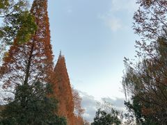 -贵阳市花溪国家城市湿地公园