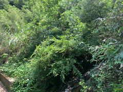 -安吉龙王山峡谷漂流