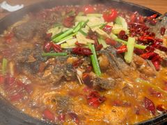 -老板恋上鱼(恒隆广场店)