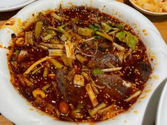 -曾牛肉