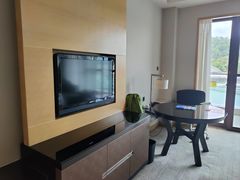 -河源万绿湖美思威尔顿酒店