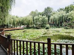 -巴山一绝烤全羊(三圣乡刘家花园店)