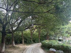 -白马涧龙池景区