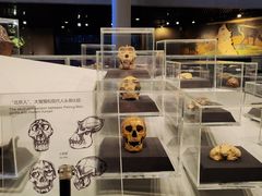 -周口店北京人遗址公园