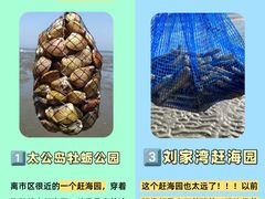 -日照灯塔风景区