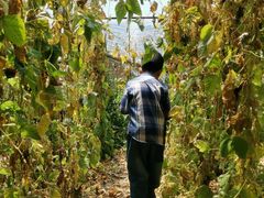 -万源龙顺度假庄园生态观光园