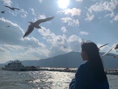 -滇池海埂公园