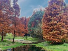 -贵阳市花溪国家城市湿地公园