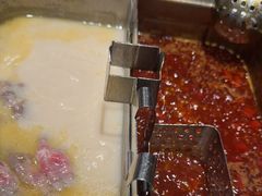 鸳鸯锅猪肚乌鸡锅-海底捞火锅(龙岗星河COCO Park店)