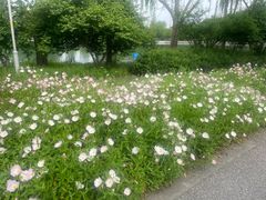 -苏州上方山国家森林公园
