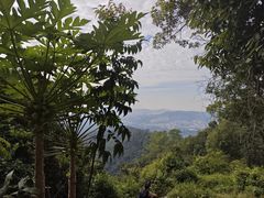-火炉山森林公园