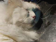 -暗楼·剧本杀·桌游