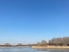 -蒲河岛湿地公园