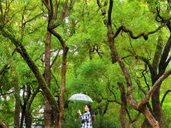 -晓港公园