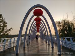 -大兴滨河森林公园