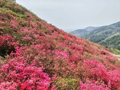 -木兰云雾山